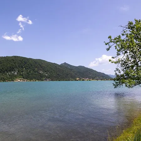 Appartement Alpinehome