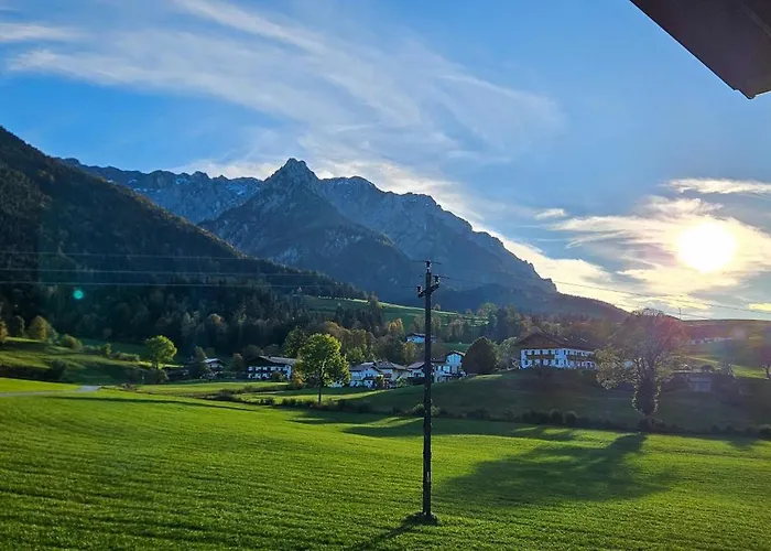 Alpinehome *
