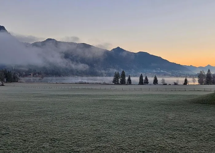 Appartement Alpinehome *