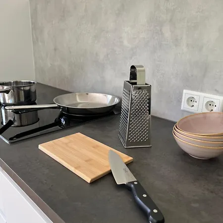 Alpinehome 公寓 *